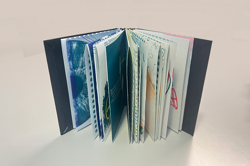 Livre Risographie